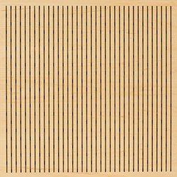 Linear Perforation Image